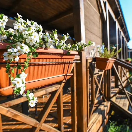 Сasa de vacaciones Mobile Homes Istria - Brioni *