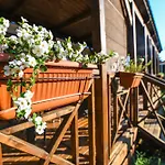 Vikendica Mobile Homes Istria - Brioni *